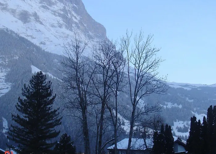 Hotel Hotel Residence Grindelwald